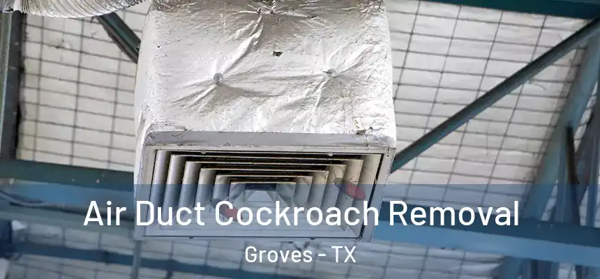  Air Duct Cockroach Removal Groves - TX