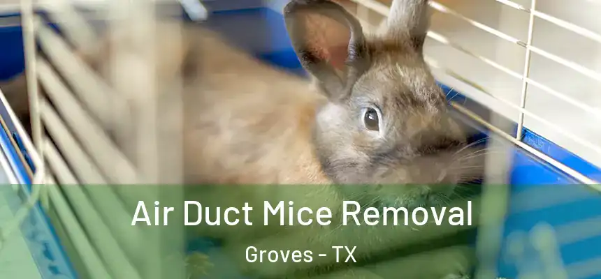  Air Duct Mice Removal Groves - TX