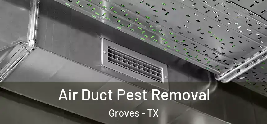  Air Duct Pest Removal Groves - TX