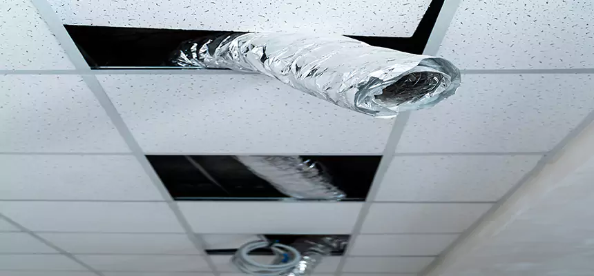 Affordable HVAC Sanitizing After Pest Removal in Groves