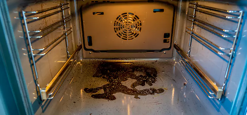 Our Dryer Vent Mold Cleaning Services in Groves, TX