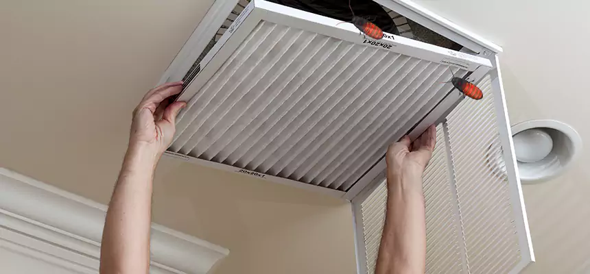 Our Insect Removal from Air Ducts Services in Groves, TX