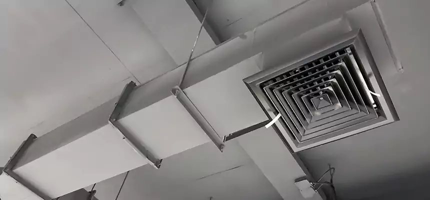 Our Rodent Droppings In Vents Services in Groves, TX