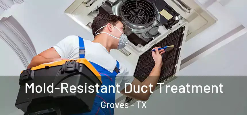  Mold-Resistant Duct Treatment Groves - TX