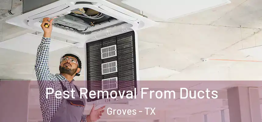  Pest Removal From Ducts Groves - TX