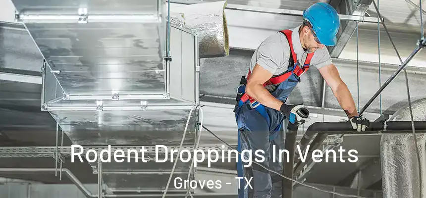  Rodent Droppings In Vents Groves - TX