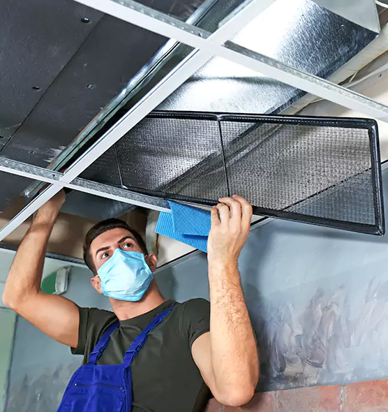 About Air Duct Bacteria Removal in Groves