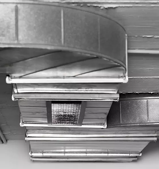 Professional Air Duct Pet Hair Removal in Groves, TX