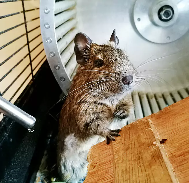 Why Homeowners & Businesses Trust Us Groves, TX?