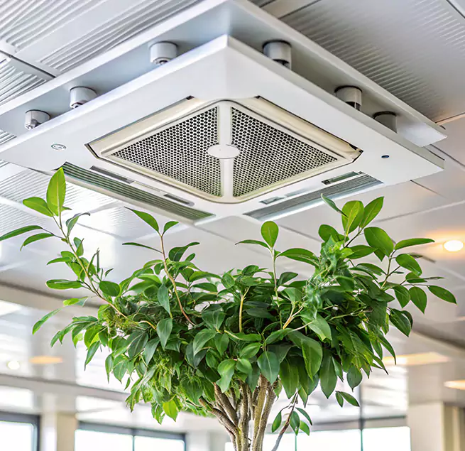 Why Homeowners & Businesses Trust Us in Groves, TX