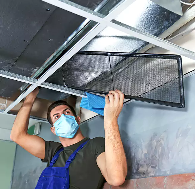 Why Homeowners Businesses Trust Us in Groves, TX